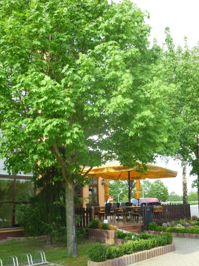 Willmersdorfer Hof Cottbus Luaran gambar